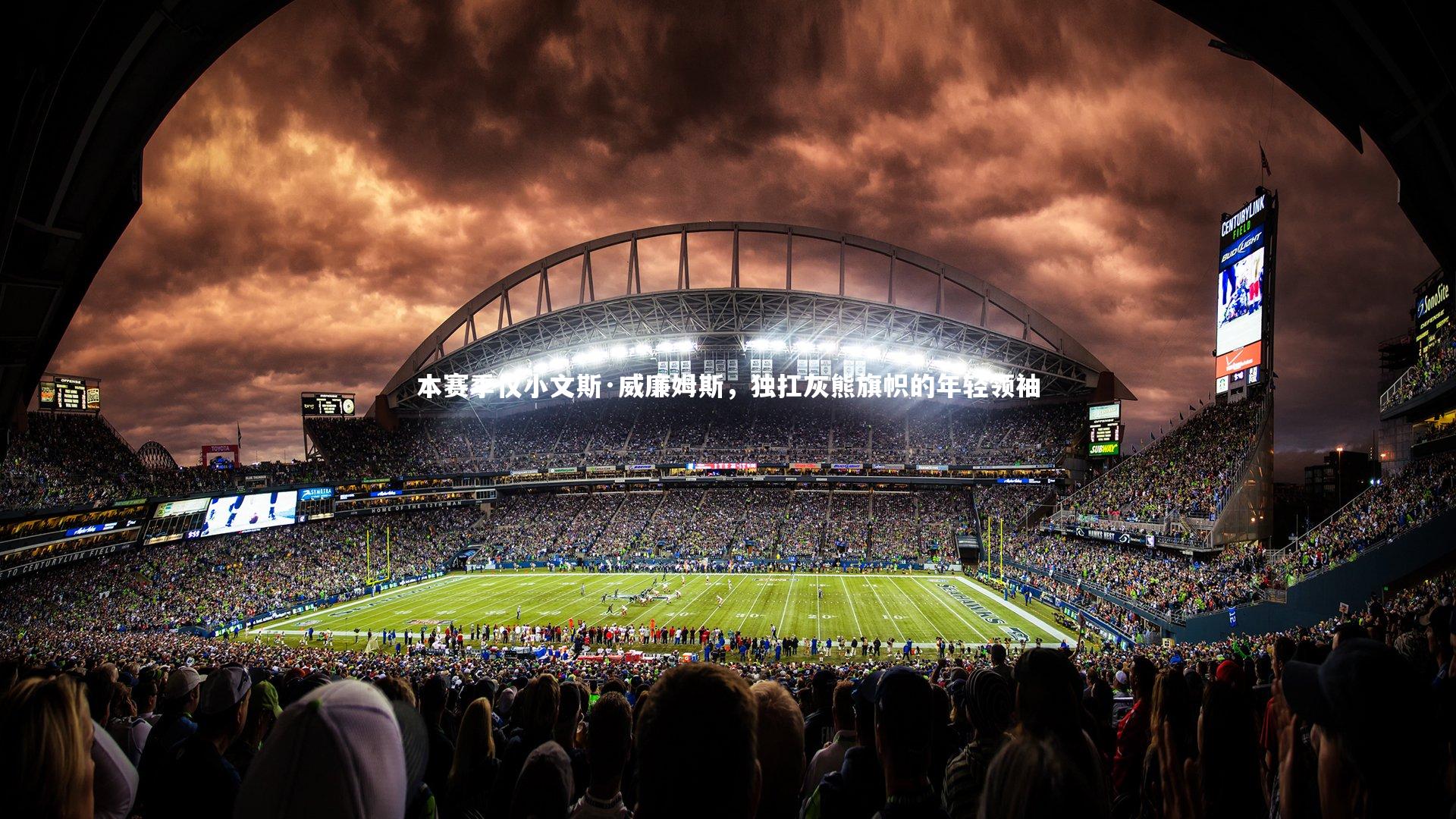 本赛季仅小文斯·威廉姆斯，独扛灰熊旗帜的年轻领袖